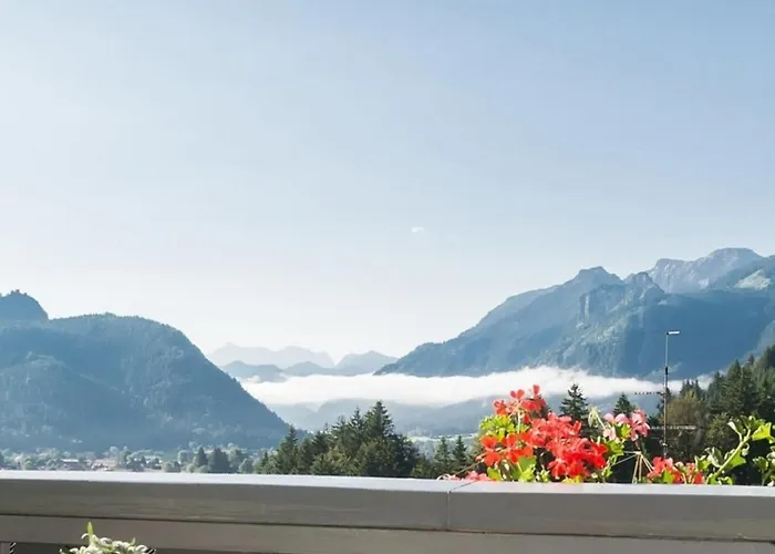 Wildgruen Maxi 7 Lejlighed *